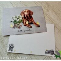 Frühlingserwachen - Postkarte A6-Format