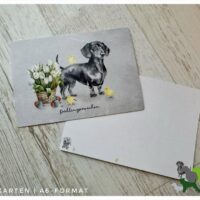Frühlingserwachen - Dackel - Postkarte A6-Format